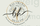 Balanced Health Hormone Replacement Therapy New Jersey