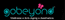 GoBeyond Aesthetics & Wellness Florida