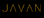 Javan Anti-Aging and Wellness Institute Texas