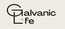 Galvanic Life New York