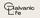 Galvanic Life New York
