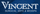 Vincent Surgical Arts & Medspa Utah
