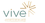 Vive Aesthetics and Wellness New Jersey