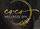 Coco Wellness Spa Texas