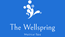 The Wellspring Medical Spa Illinois