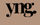 yng. aesthetics lounge Florida