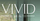 Vivid IV Health Michigan
