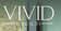 Vivid IV Health Michigan
