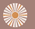 Northpoint Aesthetics Colorado