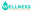 Wellness IV Therapy and Spa Florida