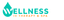Wellness IV Therapy and Spa Florida