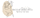 Transformative Wellness California