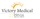 Victory MedSpa (Ben White Blvd) Texas